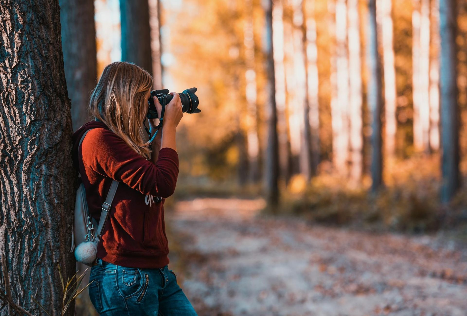 Person in a red sweater photographing a forest with a camera beside a tree, warm sunlight in the background