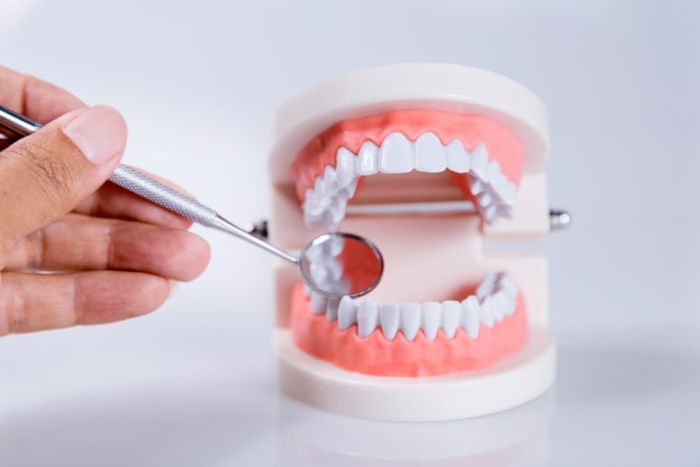 Hand holding a dental mirror examines a model set of teeth, pink gums, on a white surface.