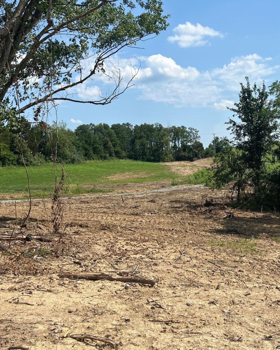 a dirt field with trees in the background on a sunny day