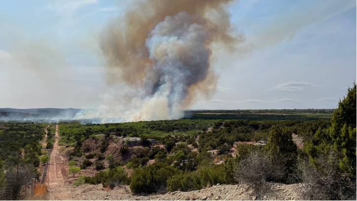 Smoke billowing from a wildfire in a field of green brush under a blue sky.