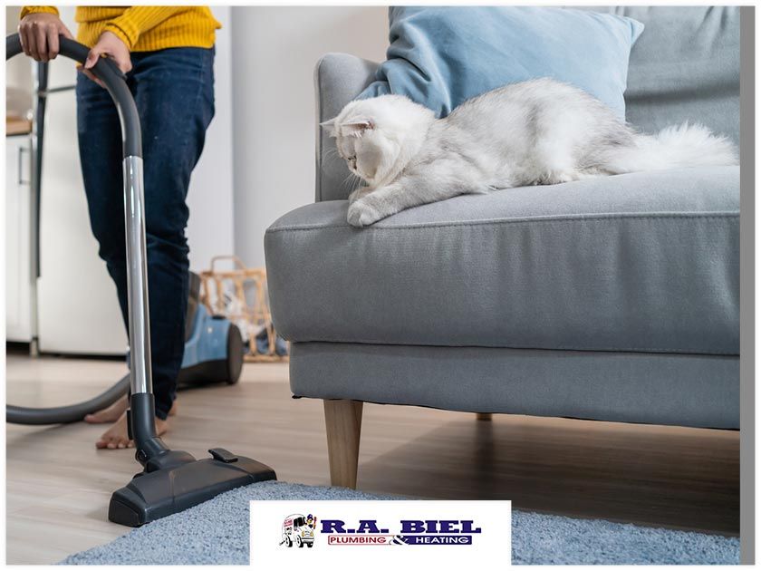 Useful HVAC Spring Cleaning Tips for Pet Owners