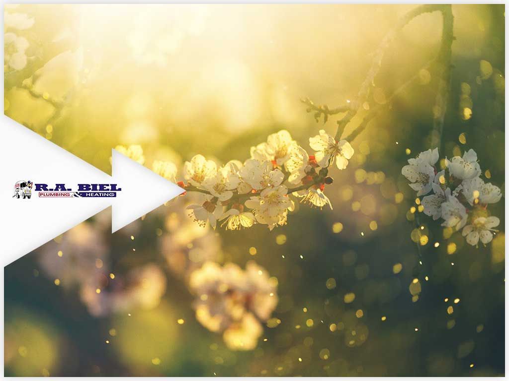 7 Tips for Minimizing Spring Allergen Exposure