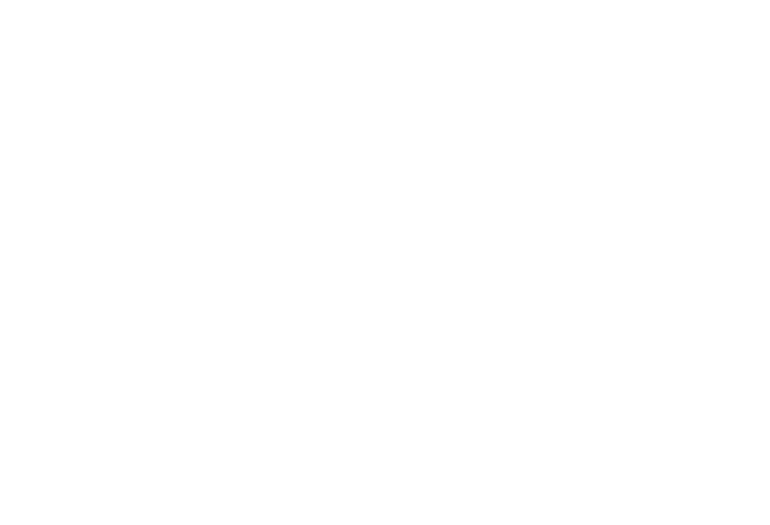 prairie duck blinds logo