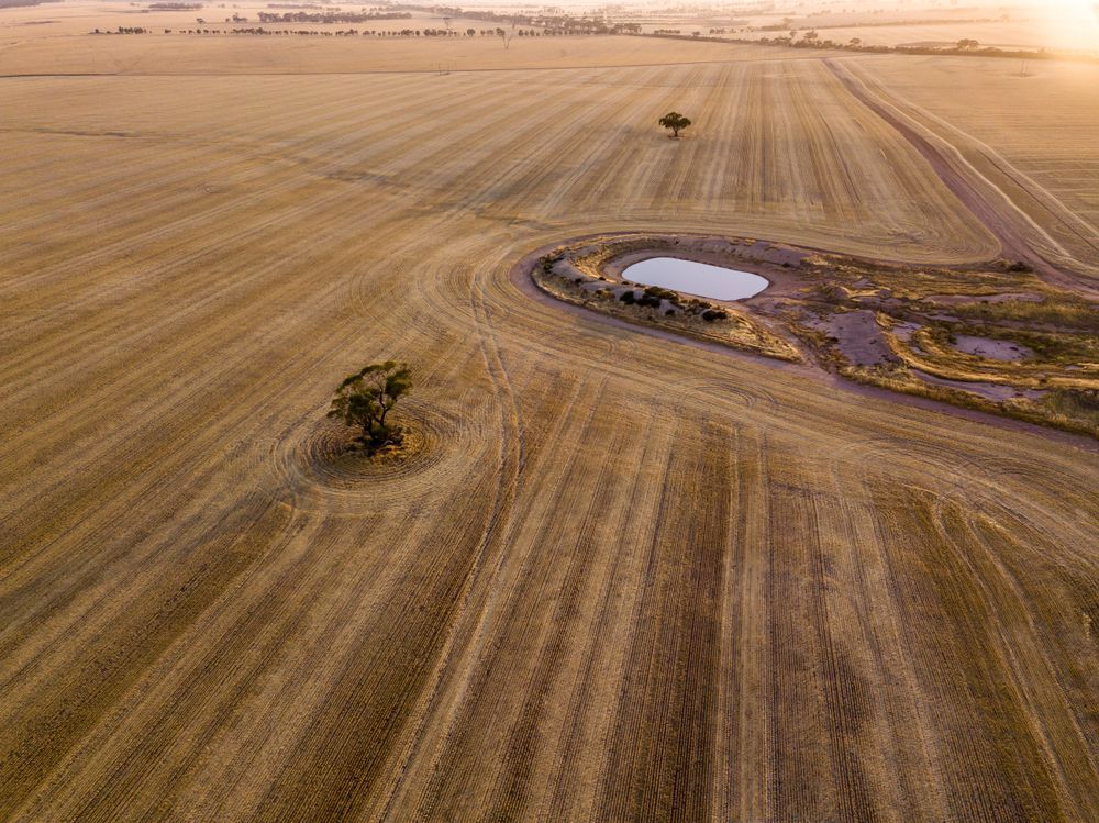 An aerial view of a field with a tree and a pond in the middle. — Upgrade Earthworks In South Kolan, QLD