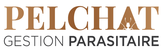 Pelchat gestion parasitaire logo