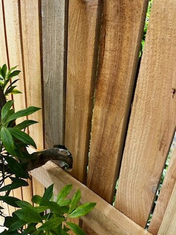 A close up of a wooden fence with a tree in the background.