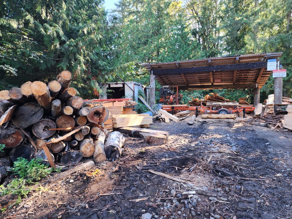 A pile of logs is sitting in the dirt in front of a sawmill.