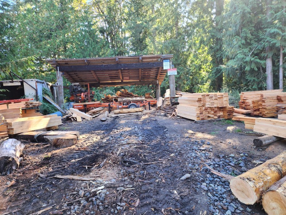 A lot of logs are laying on the ground in a yard.