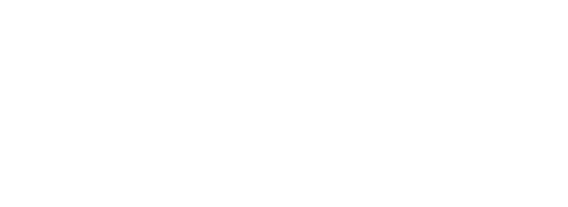 Blank white rectangle with a thin dark gray border near the bottom and right edges.