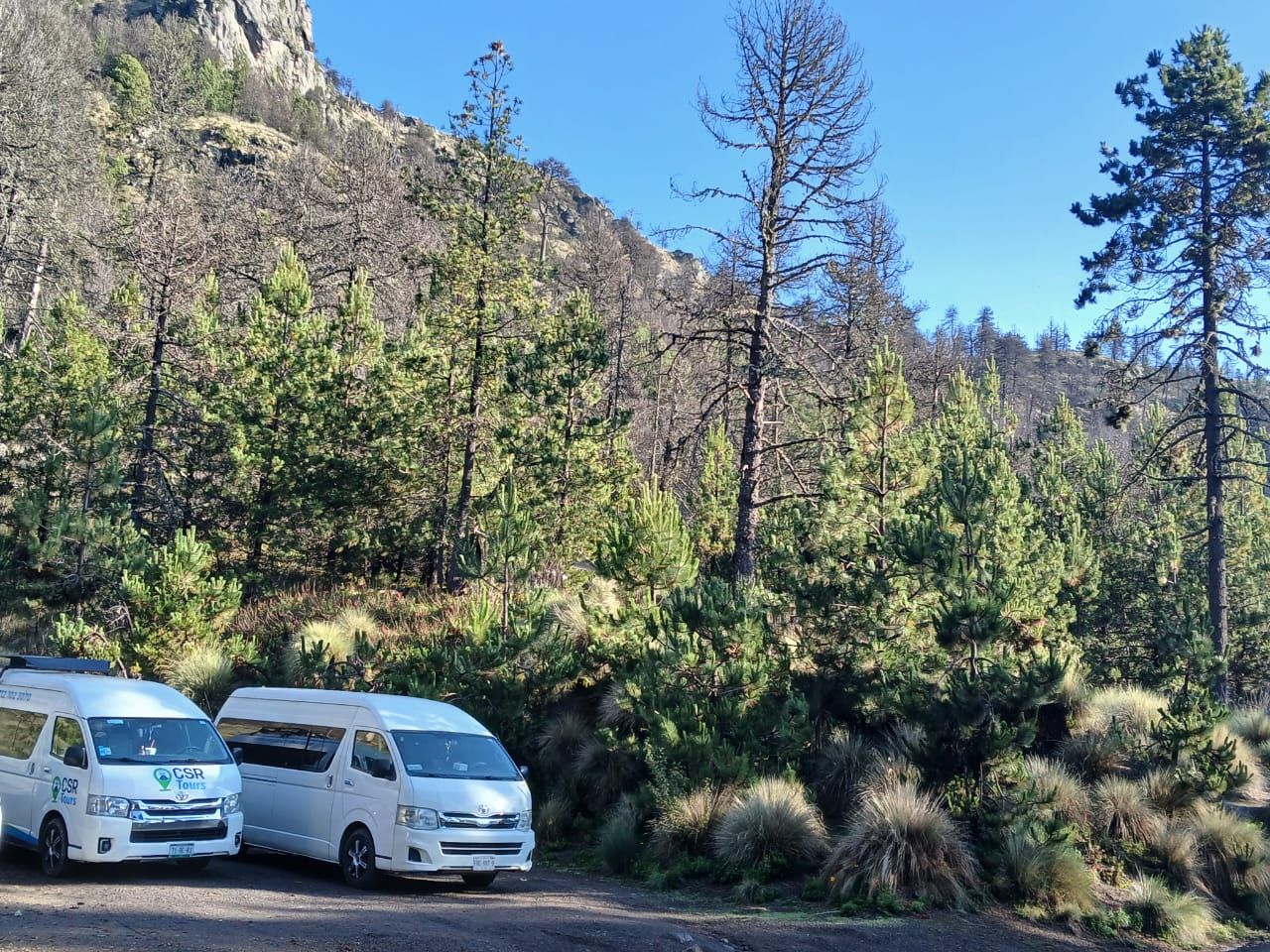 transporte empresarial