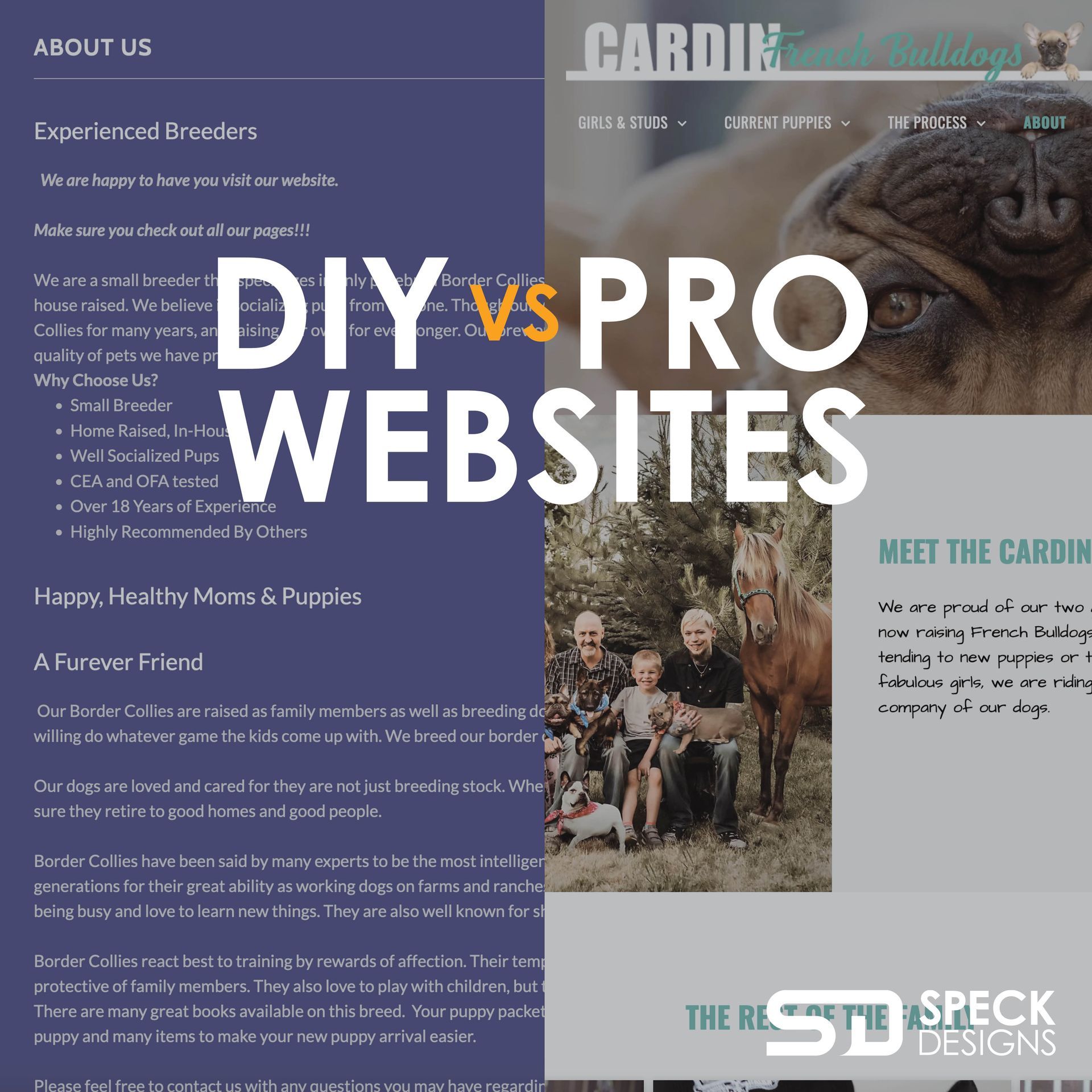 diy versus pro website design image