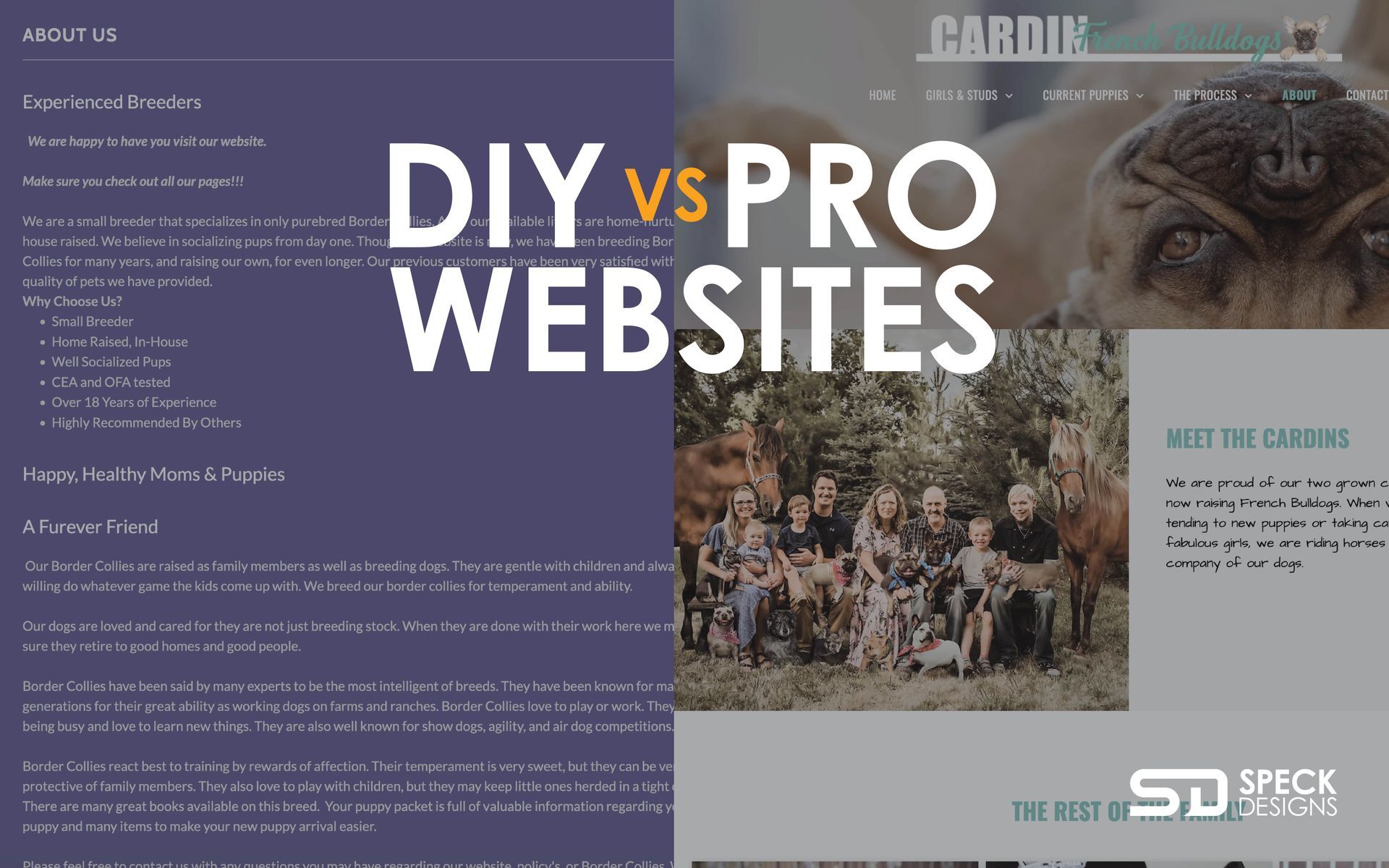 diy vs pro website design