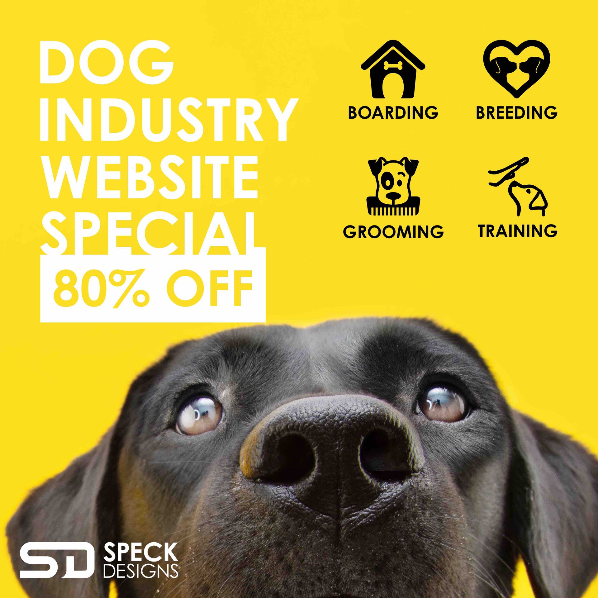 dog industry website special - 80% off