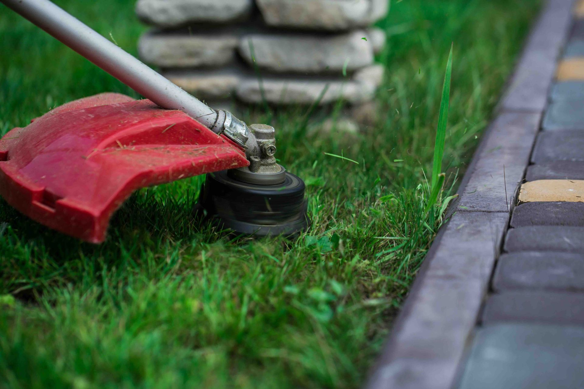 a red lawn mower is cutting a lush green lawn