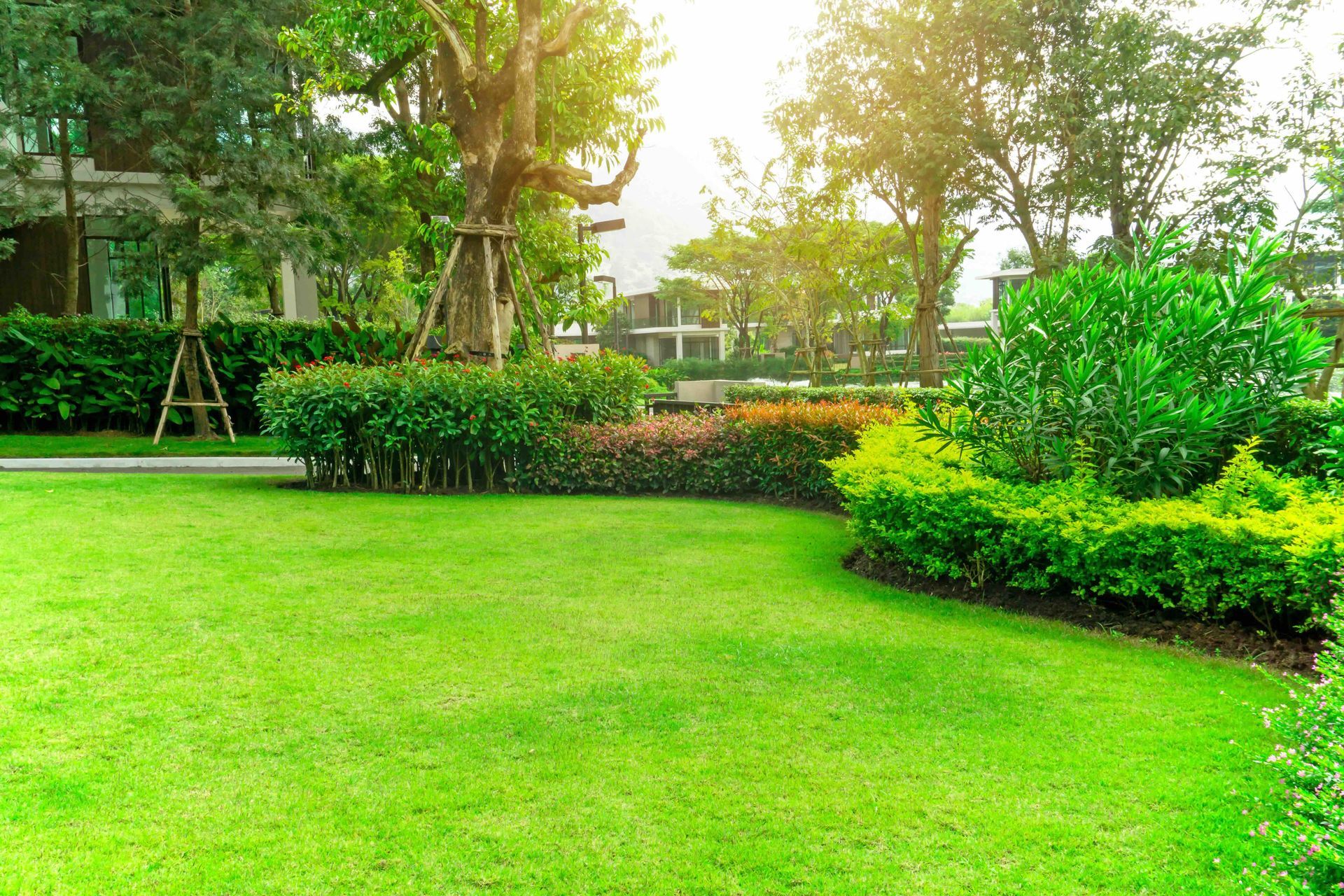 a lush green garden with trees and bushes in front of a house
