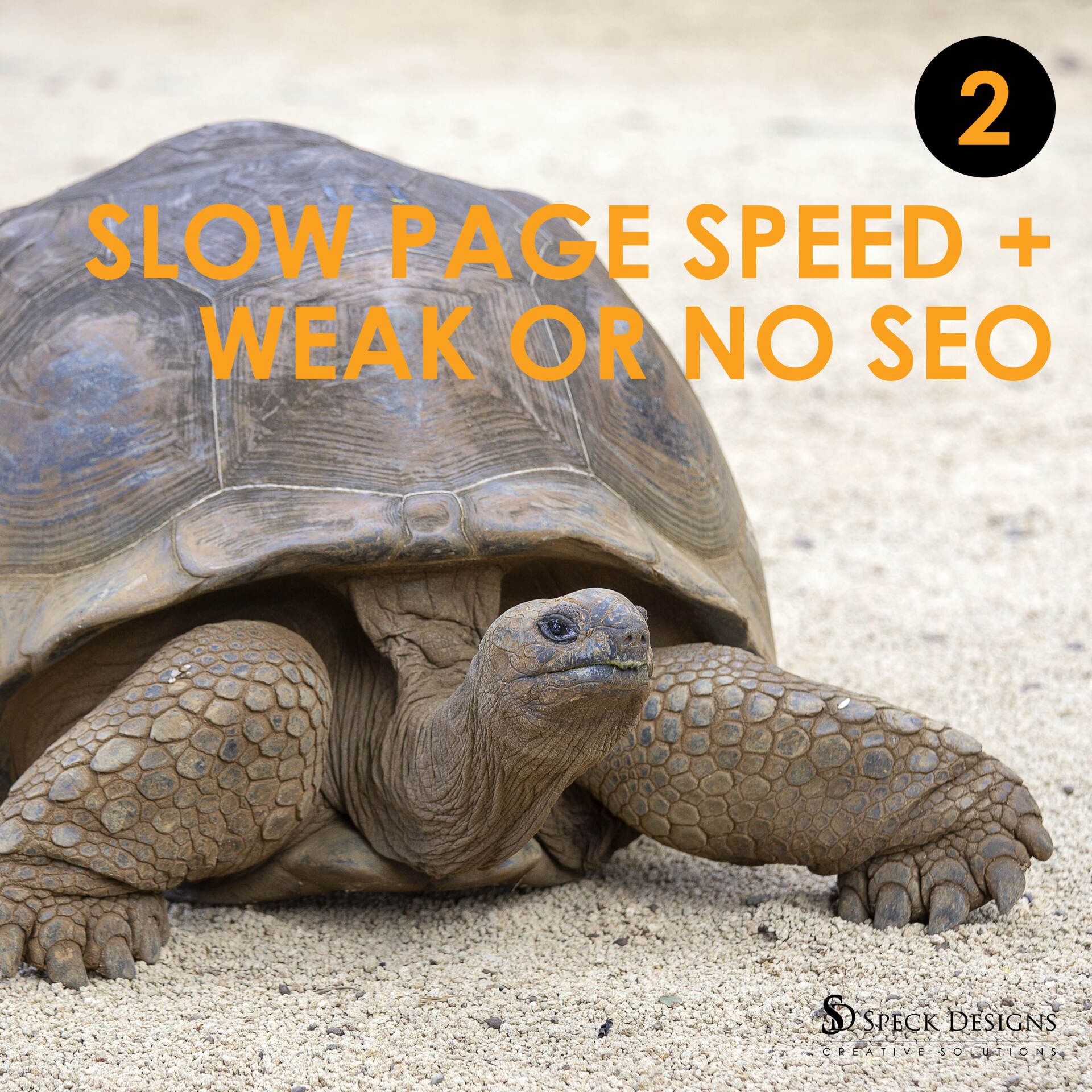 slow-speed-seo