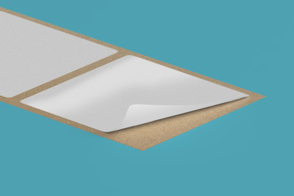 A close up of a piece of paper on a blue surface.