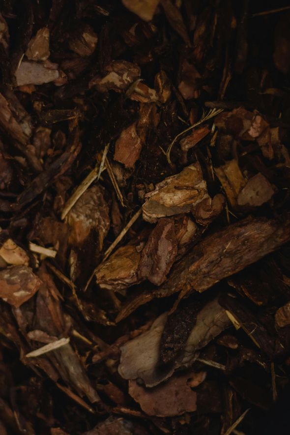 A close up of a pile of brown bark.