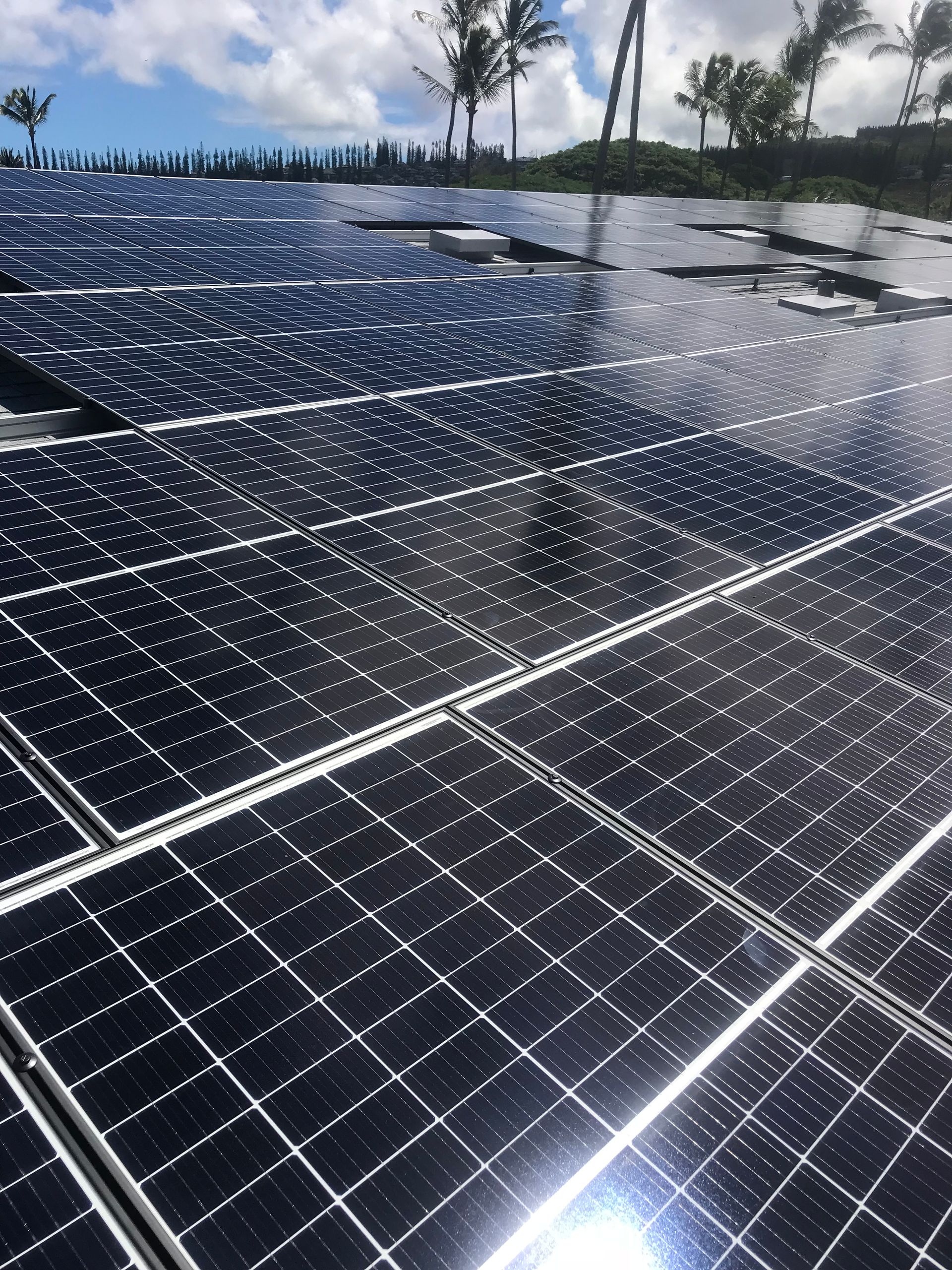 Solar Panels – Puunene, HI - Hawaii Electrical Solutions LLC