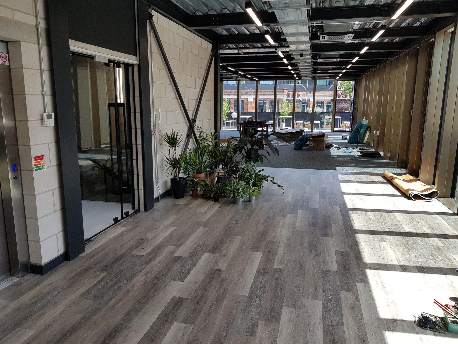 A large room with a lot of windows and plants on the floor.