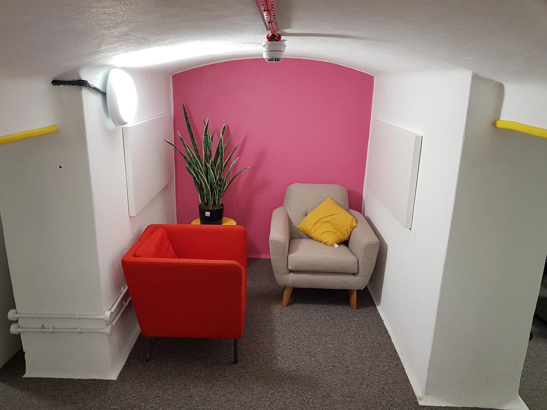 A room with two chairs and a plant in it