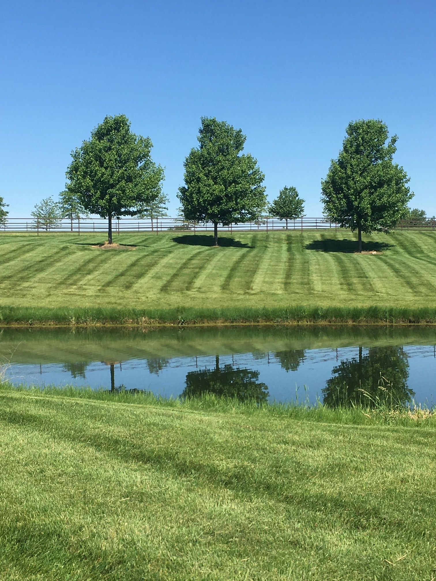 top-rated-lawn-treatment-company-in-des-moines-iowa