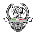 Sapienzauto - logo
