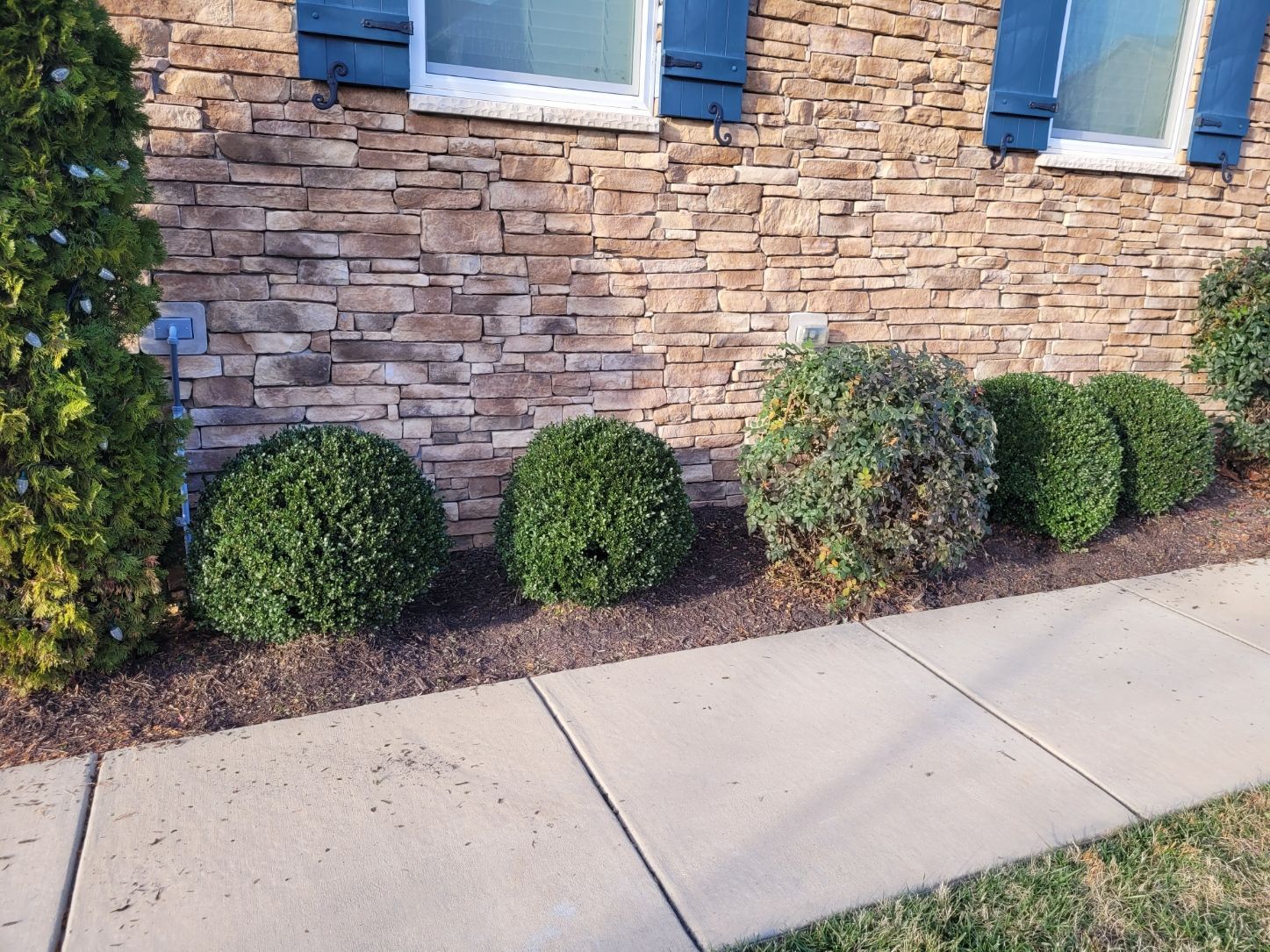 A stone wall with blue shutters and bushes in front of it.