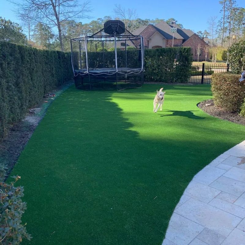 A dog is running on a lush green lawn in front of a trampoline.