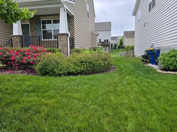 There is a lush green lawn in front of a house.