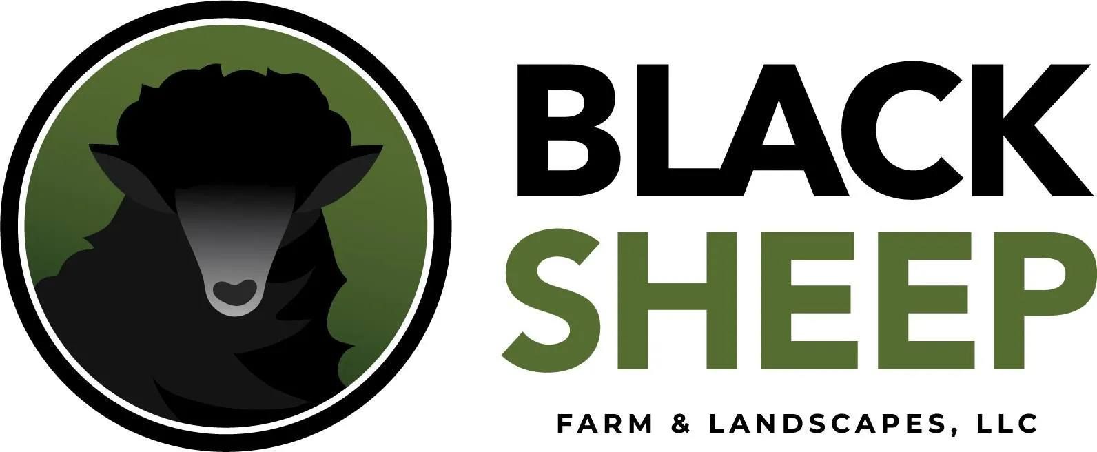 Black Sheep Lawn and Landscape