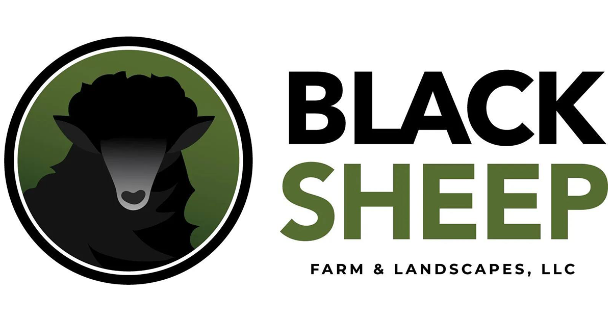 Black Sheep Farm and Landscapes llc