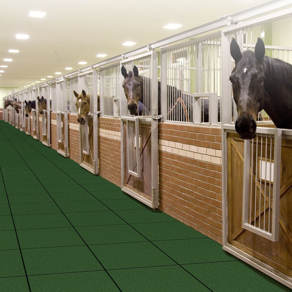 A row of horses looking out of their stalls
