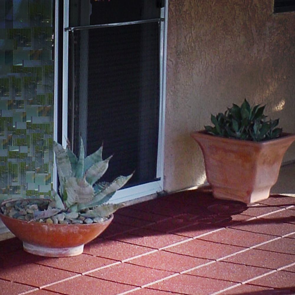 A potted plant sits on a tiled floor in front of a door