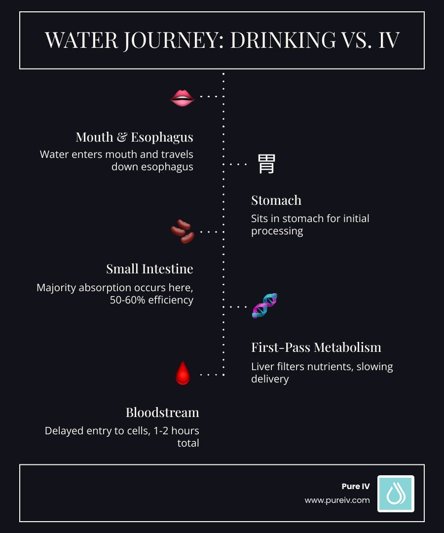 Infographic showing 100% absorption rate of IV vs partial oral absorption - IV Therapy vs. Drinking…