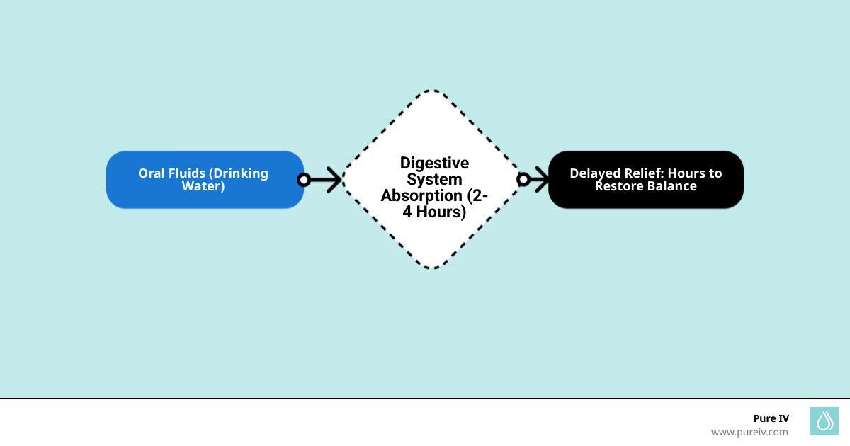 Flowchart showing input