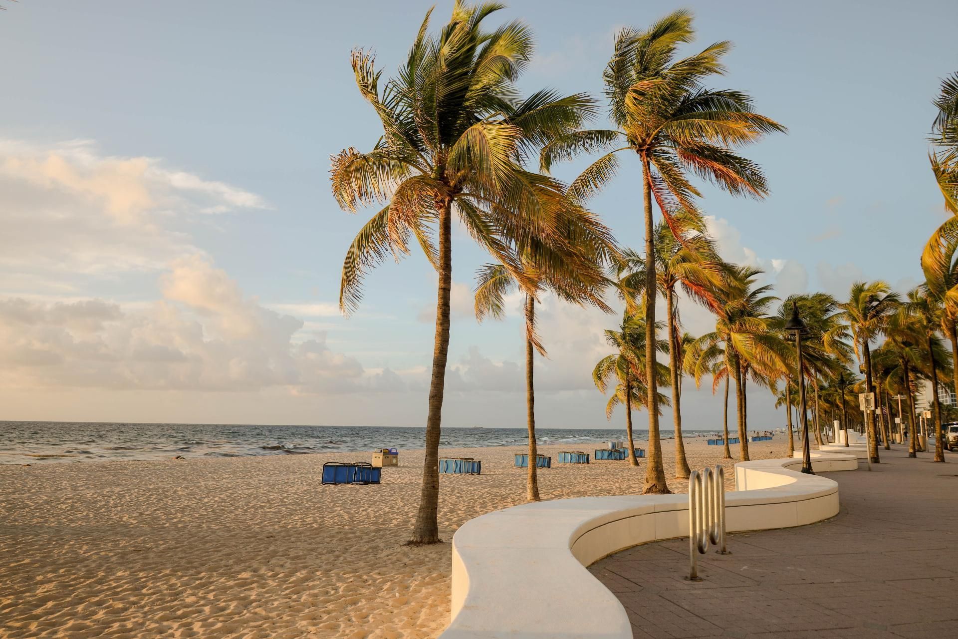 Beach scene with palm trees, white walkway, sandy beach, and ocean under a light blue sky.