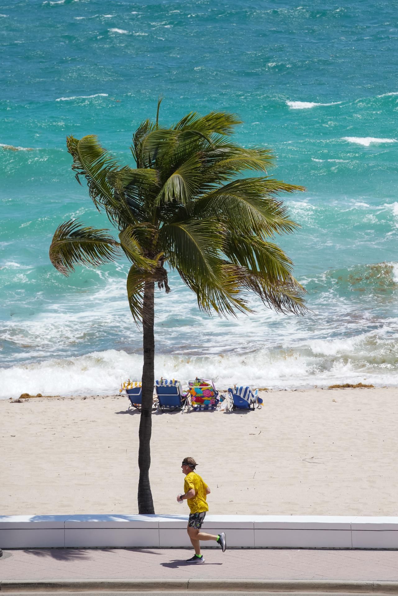 Palm tree on beach; runner on sidewalk. Turquoise ocean, sandy beach. Sunny day.