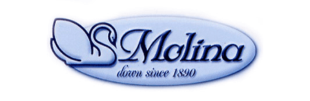 Logo Molina