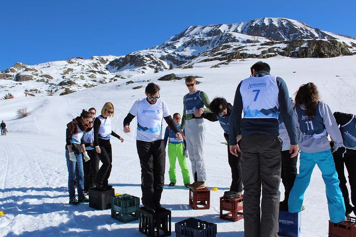 Un groupe de personnes marche sur une planche de bois dans un champ.