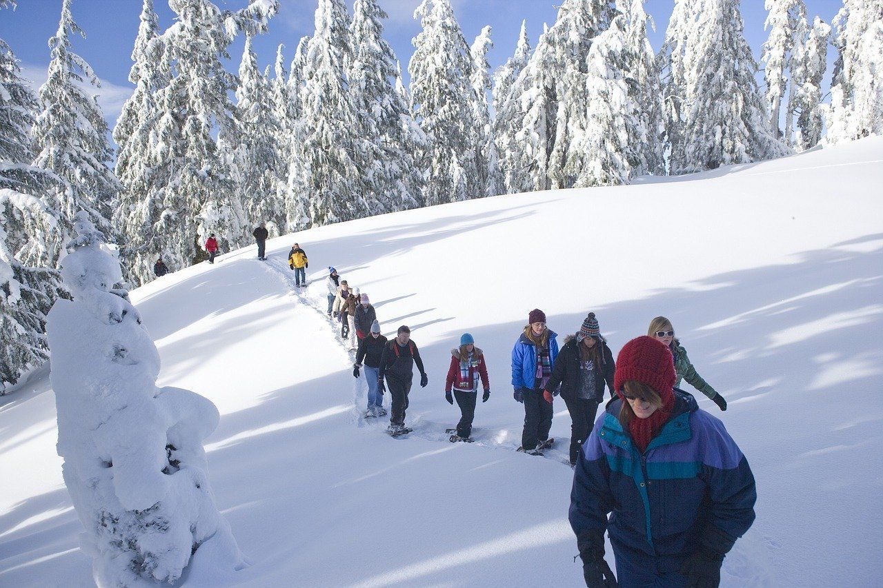 Un groupe de personnes marche sur un chemin de terre dans les montagnes.