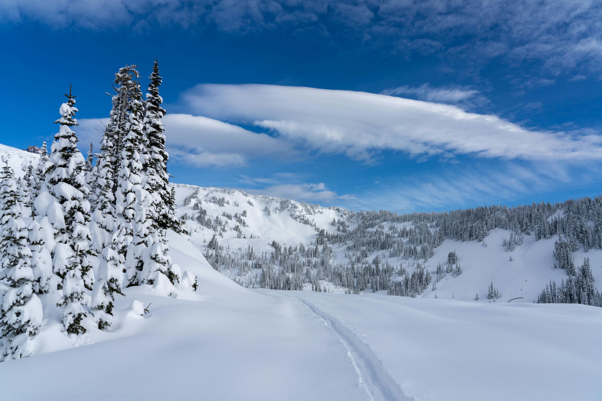 Un paysage enneigé avec des arbres et des montagnes en arrière-plan