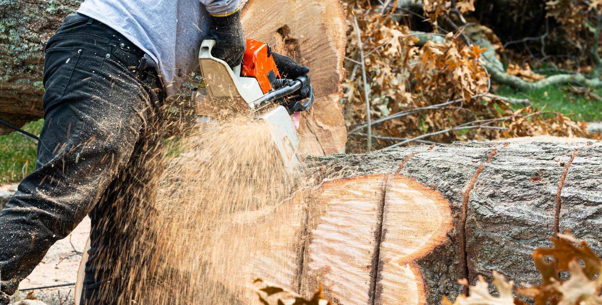 Person using a chainsaw to cut a log, wood chips flying.