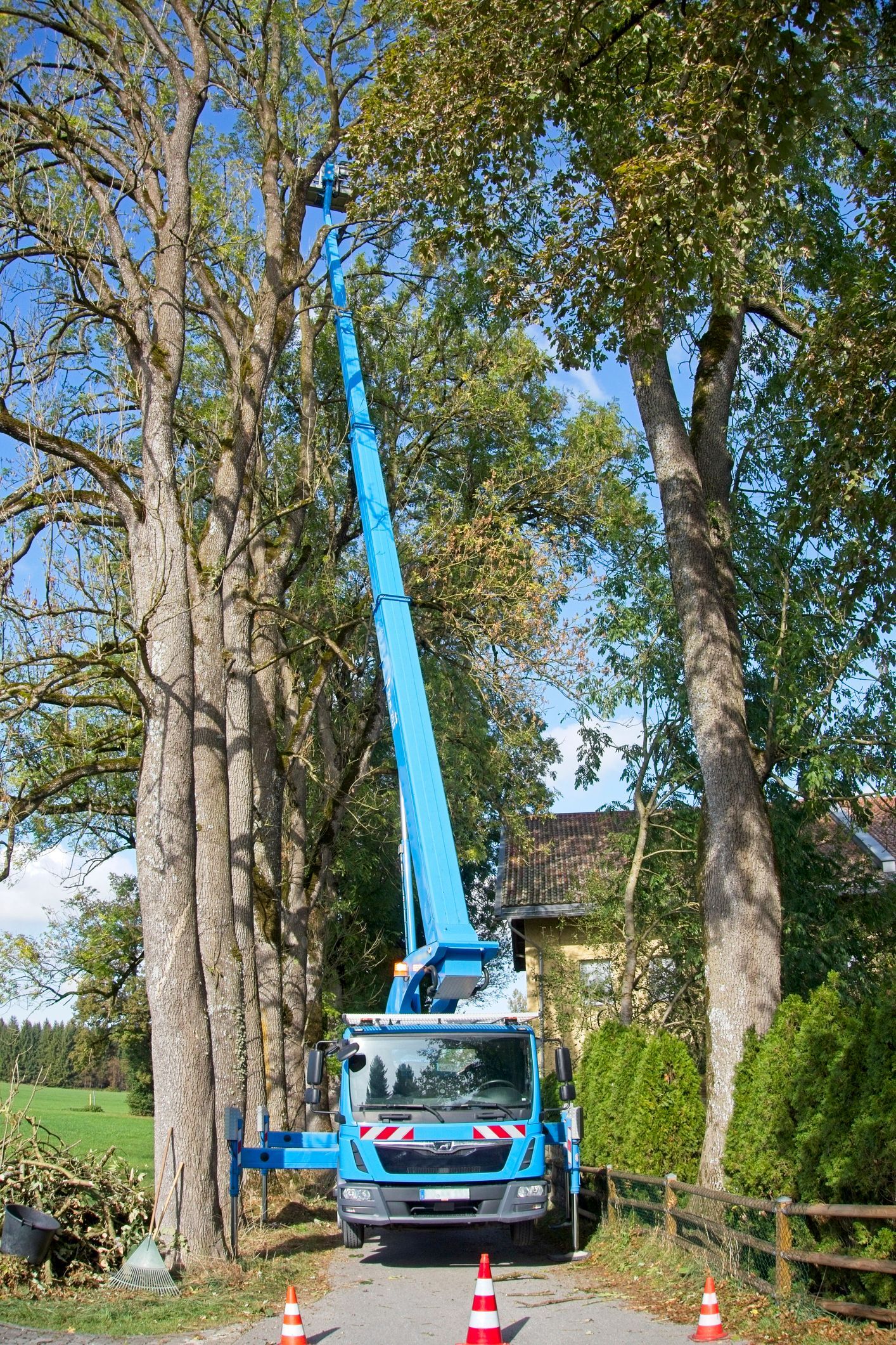 View of a blue truck with a worker in a crane doing tree trimming services on a tree.