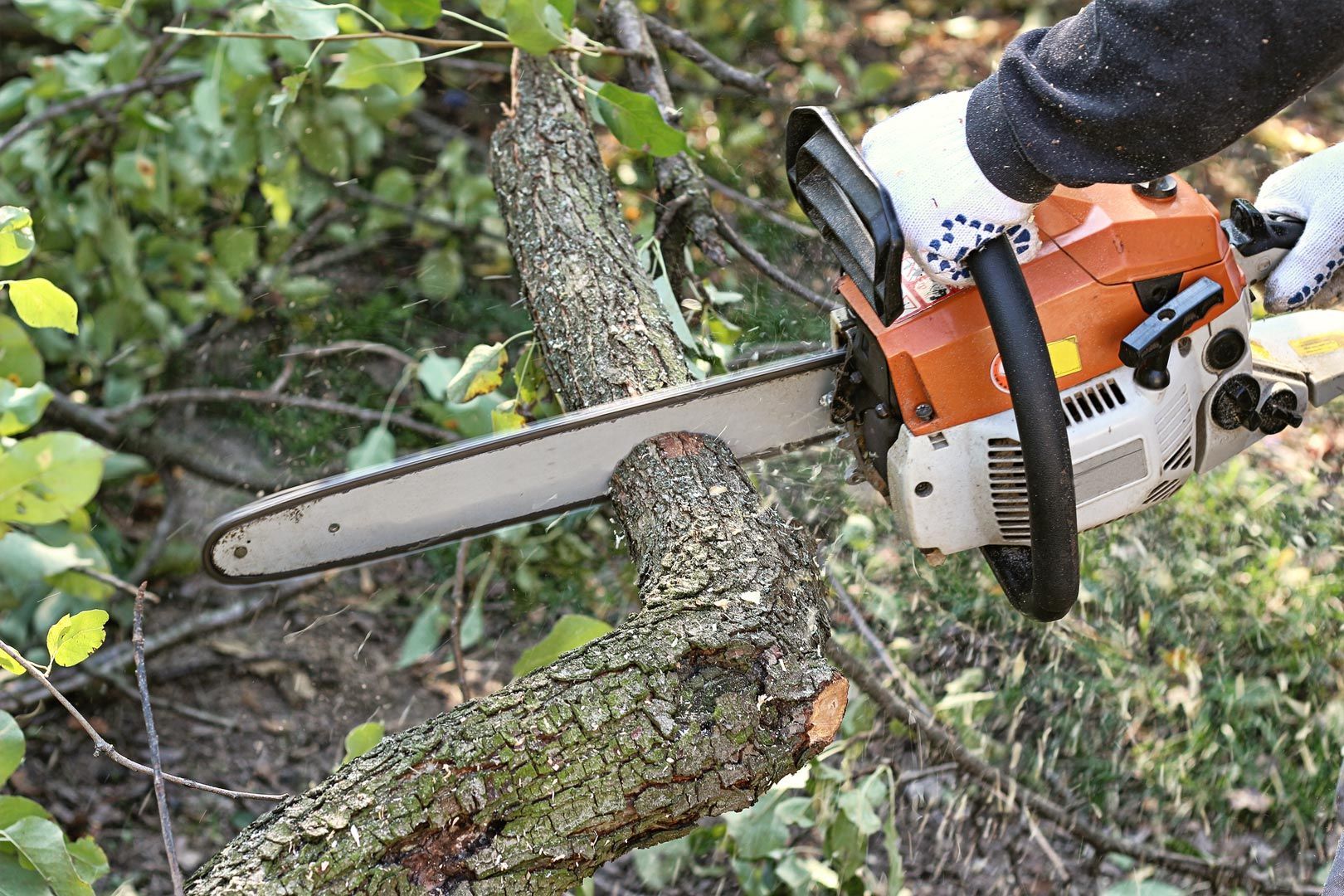 A person is cutting a tree branch with a chainsaw.