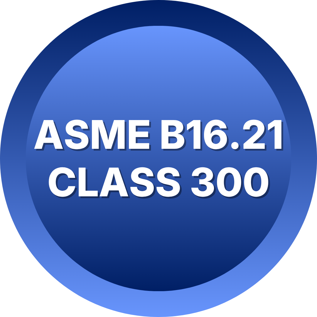 ASME B16.21 class 300