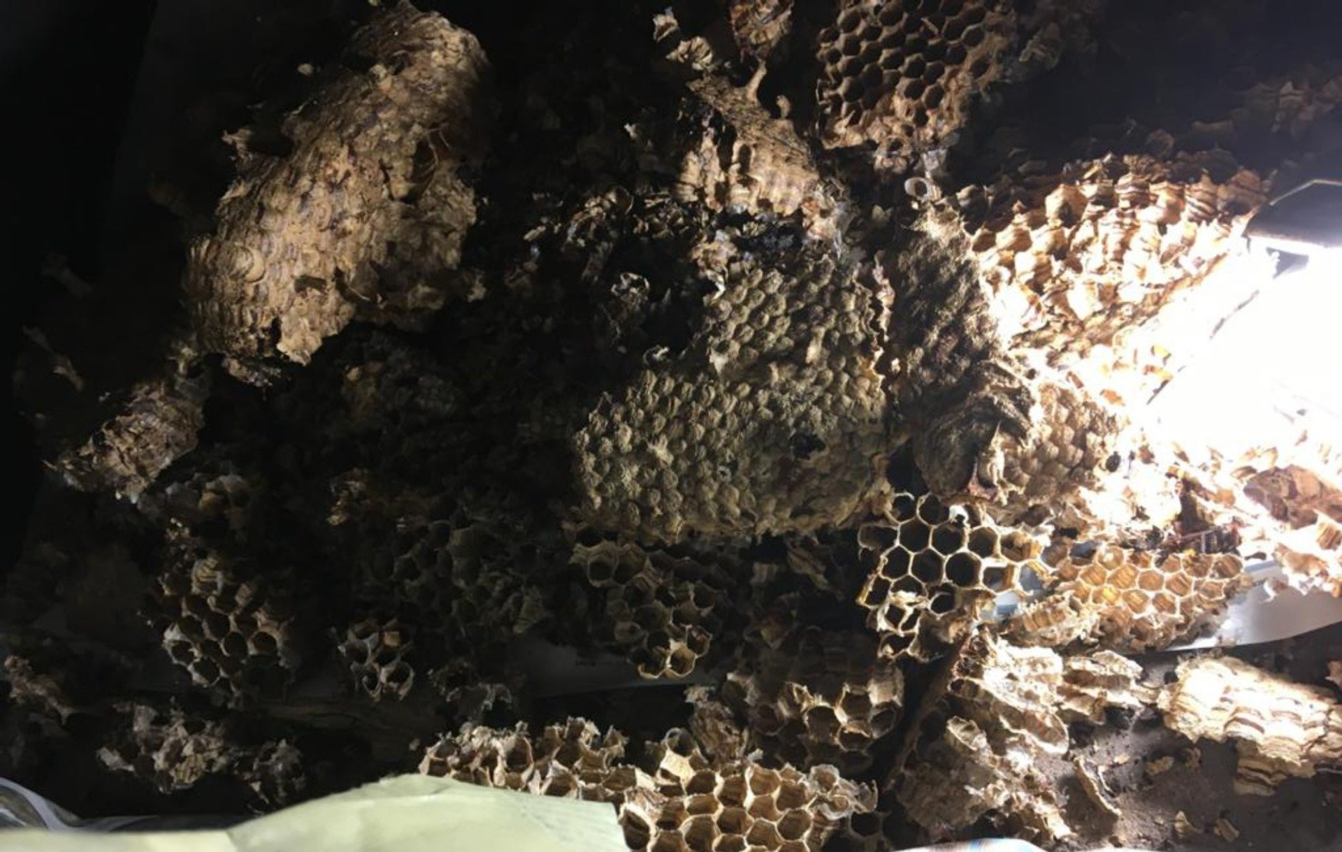 pulizia canne fumarie