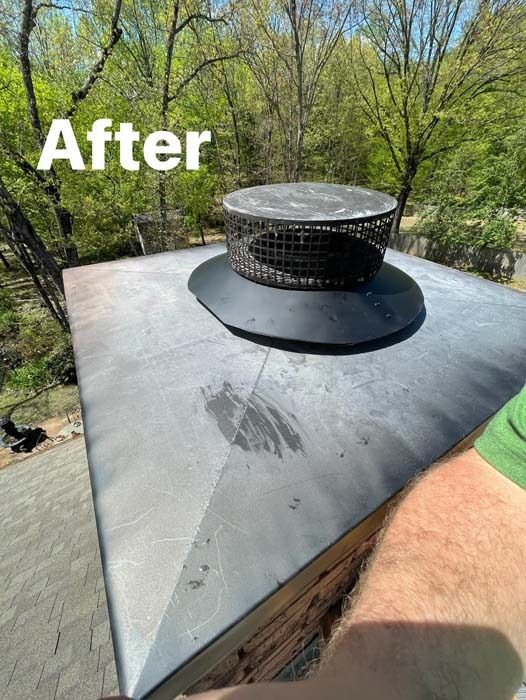 View of a chimney cap with a mesh cover. The chimney is black and sits on a roof, with trees in the background.