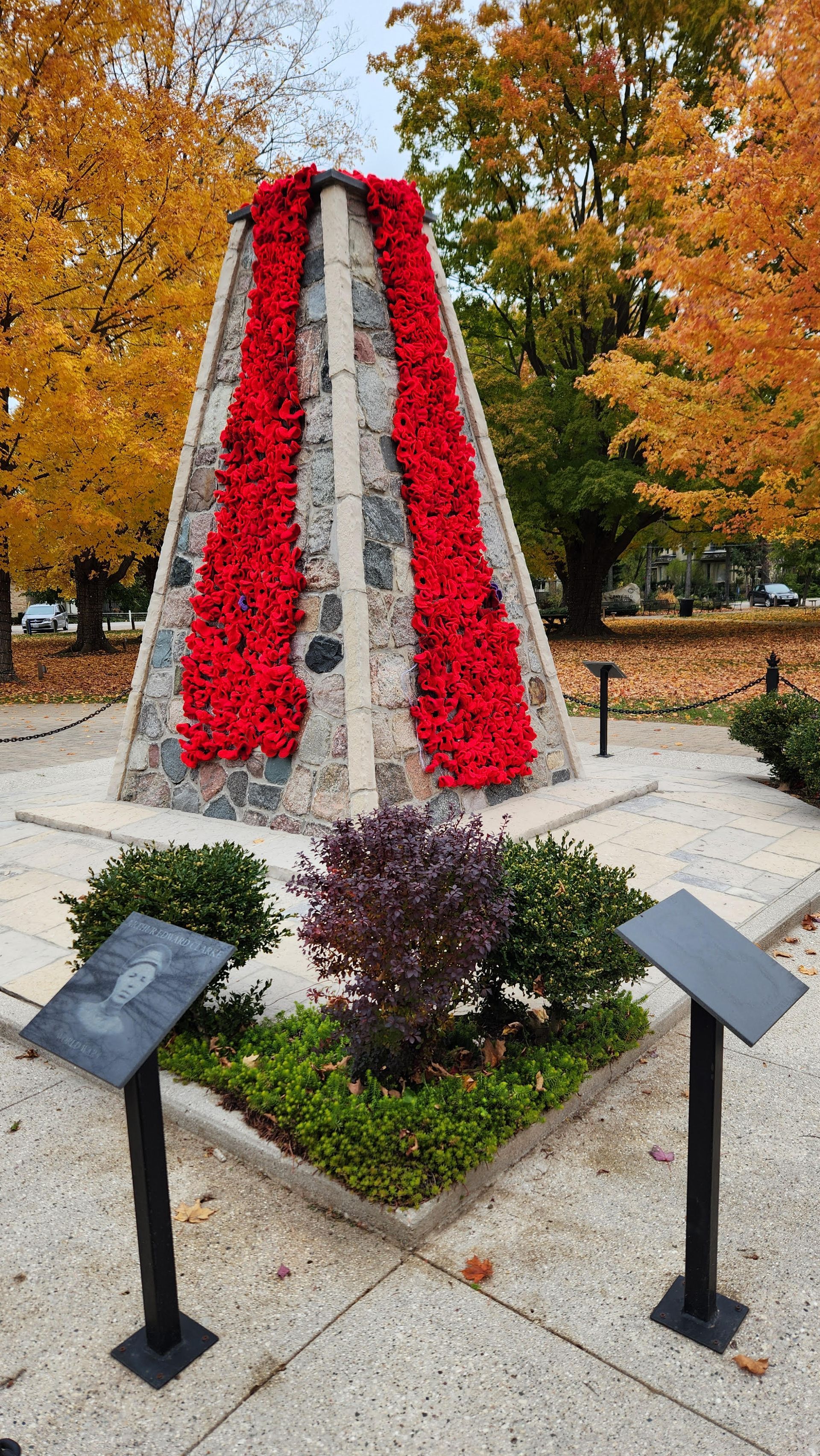 This is a photograph of poppies adorning our Bayfield Cenotaph.