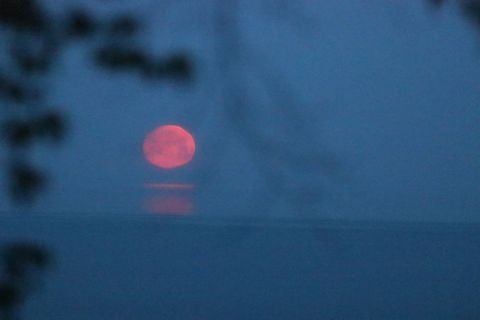 This is a photograph of this week's full moon setting over Lake Huron..